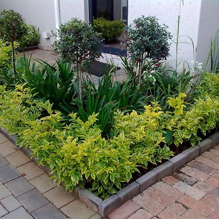 Rosebank Lodge Guesthouse By Claires Johannesburg Bagian luar foto