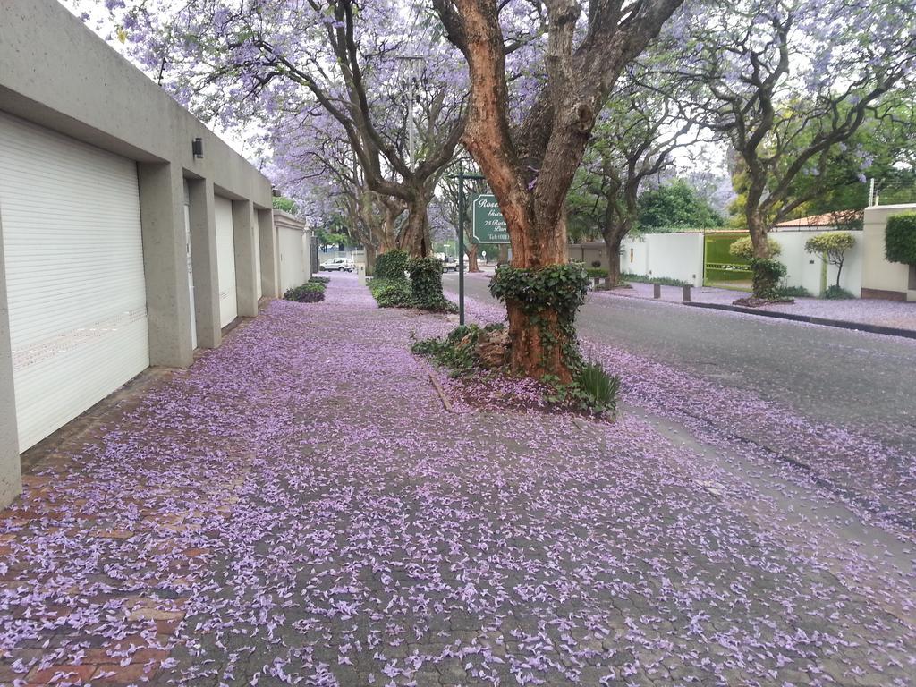 Rosebank Lodge Guesthouse By Claires Johannesburg Bagian luar foto