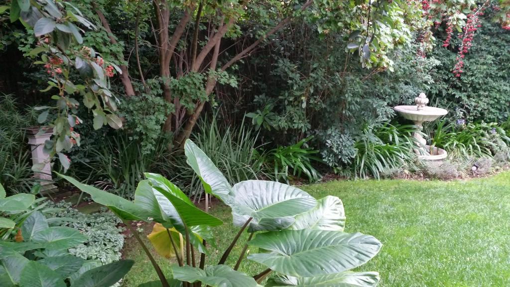 Rosebank Lodge Guesthouse By Claires Johannesburg Bagian luar foto