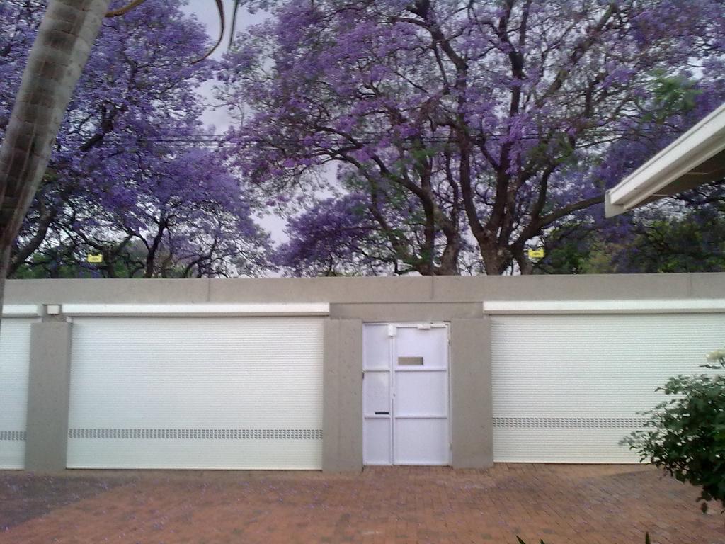 Rosebank Lodge Guesthouse By Claires Johannesburg Bagian luar foto