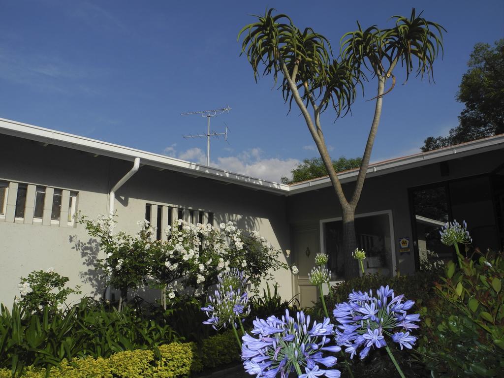 Rosebank Lodge Guesthouse By Claires Johannesburg Bagian luar foto