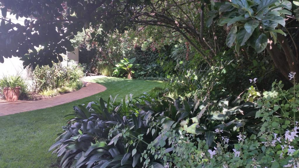 Rosebank Lodge Guesthouse By Claires Johannesburg Bagian luar foto