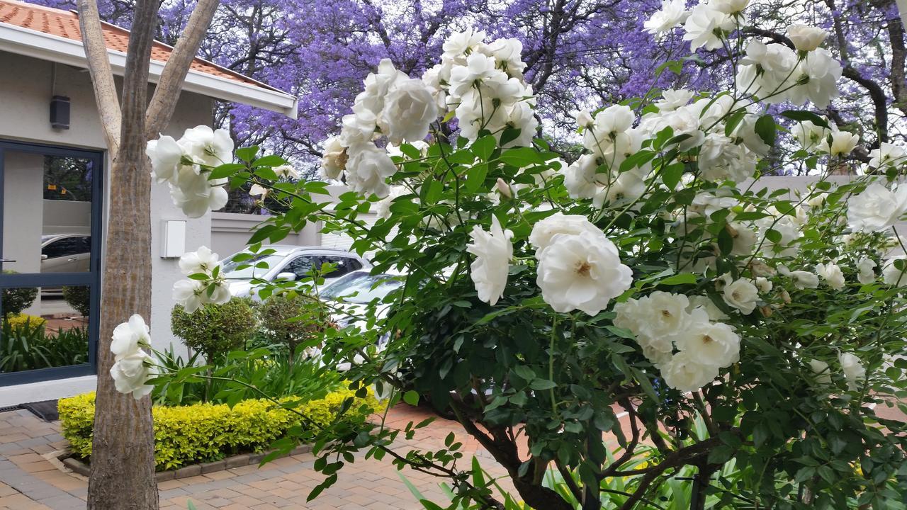 Rosebank Lodge Guesthouse By Claires Johannesburg Bagian luar foto