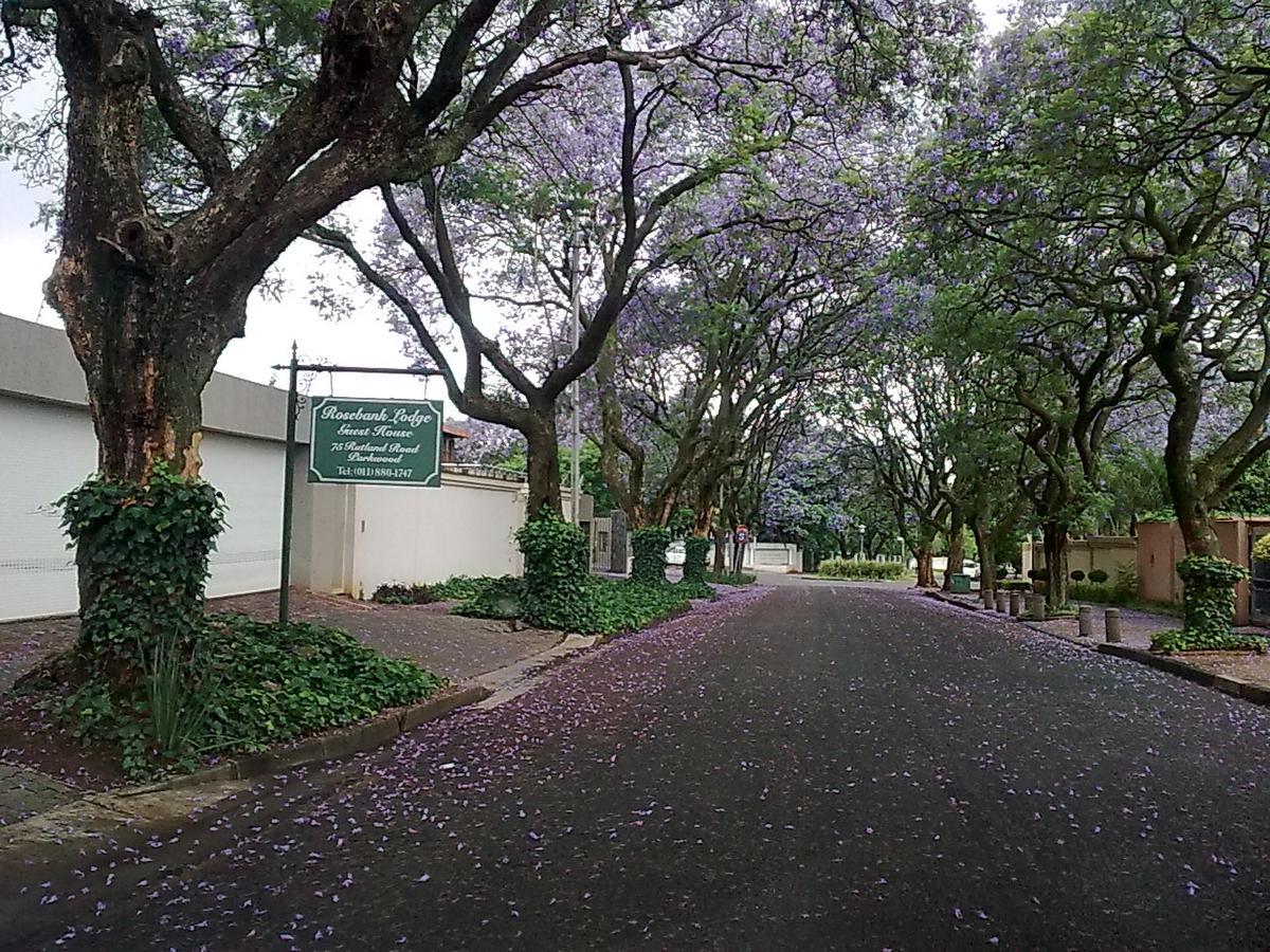 Rosebank Lodge Guesthouse By Claires Johannesburg Bagian luar foto